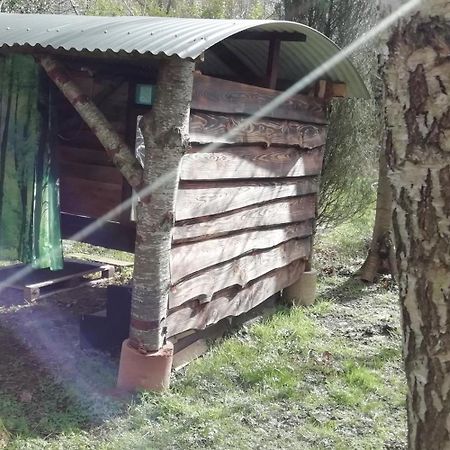Sapphire Forest Garden Shepherd'S Hut Church Stretton Zewnętrze zdjęcie