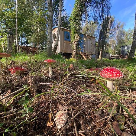 Sapphire Forest Garden Shepherd'S Hut Church Stretton Zewnętrze zdjęcie