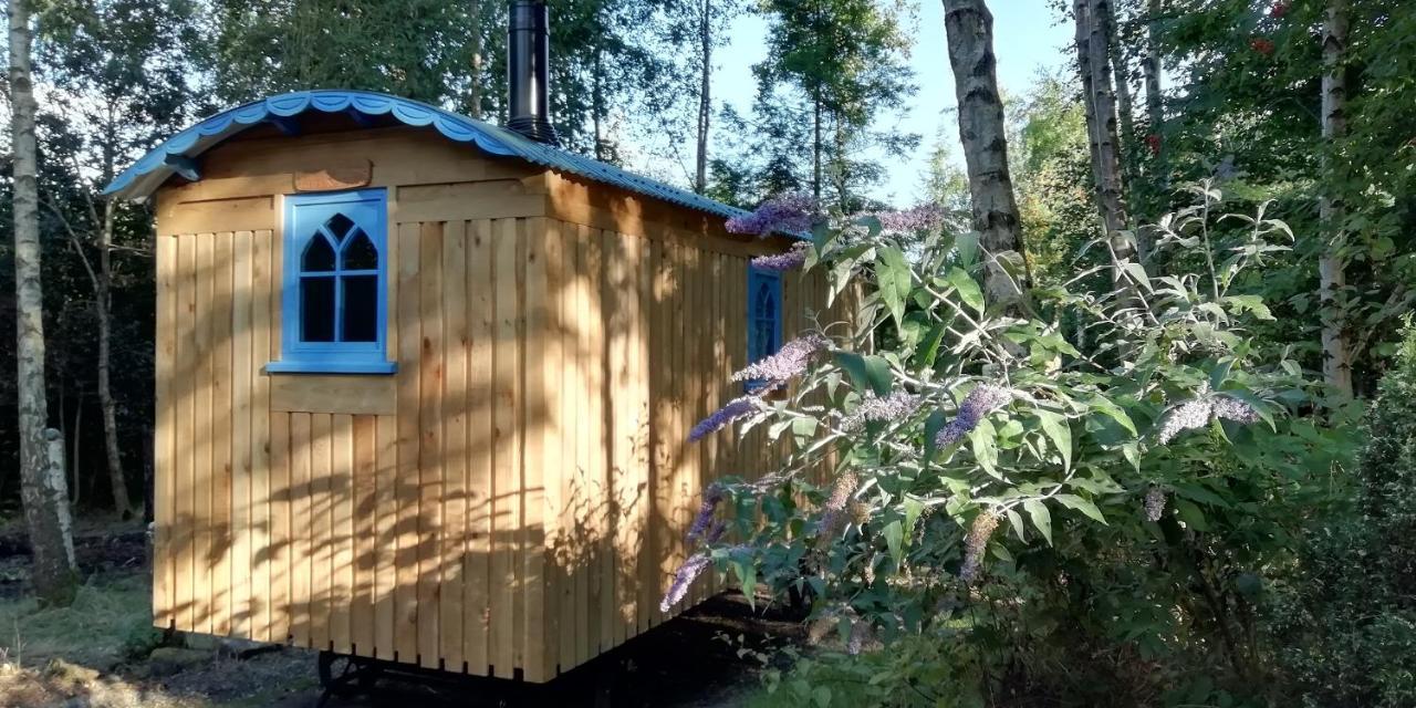 Sapphire Forest Garden Shepherd'S Hut Church Stretton Zewnętrze zdjęcie