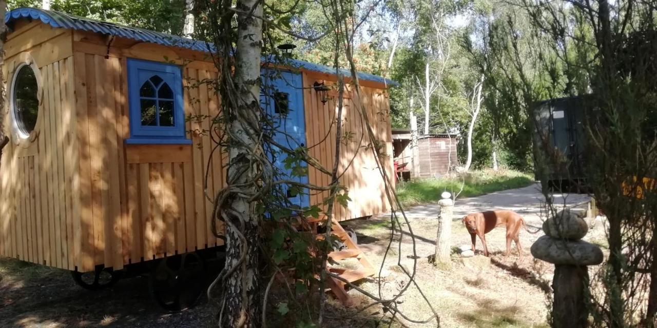Sapphire Forest Garden Shepherd'S Hut Church Stretton Zewnętrze zdjęcie