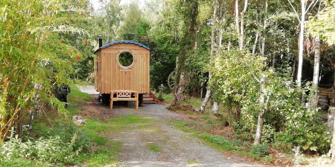 Sapphire Forest Garden Shepherd'S Hut Church Stretton Zewnętrze zdjęcie