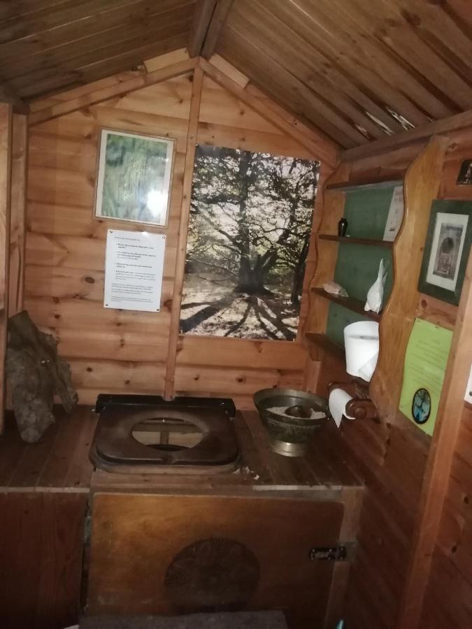 Sapphire Forest Garden Shepherd'S Hut Church Stretton Zewnętrze zdjęcie