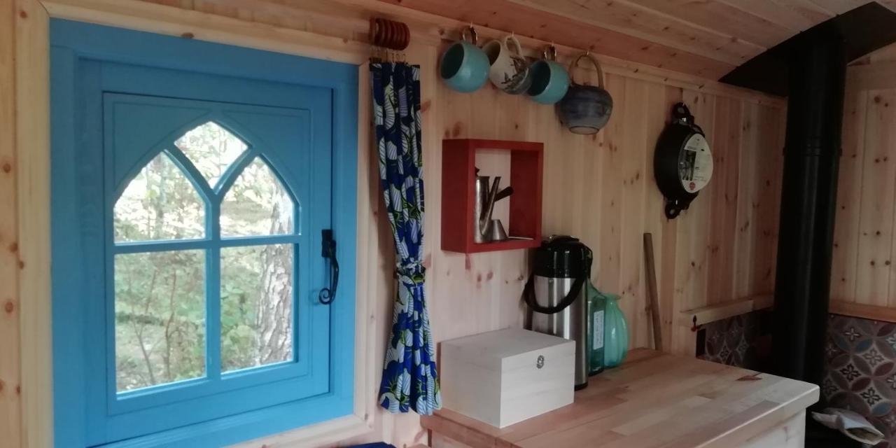 Sapphire Forest Garden Shepherd'S Hut Church Stretton Zewnętrze zdjęcie