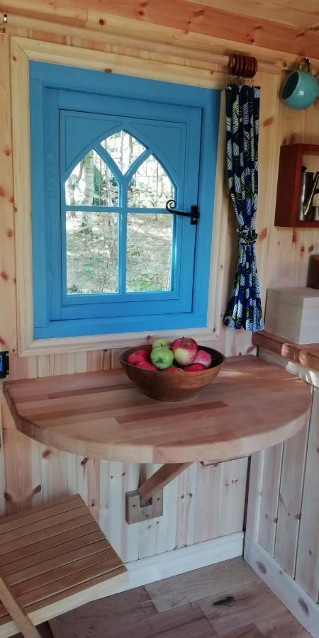 Sapphire Forest Garden Shepherd'S Hut Church Stretton Zewnętrze zdjęcie