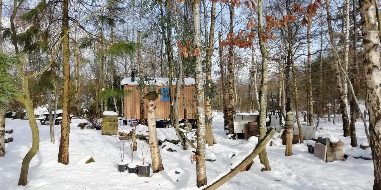 Sapphire Forest Garden Shepherd'S Hut Church Stretton Zewnętrze zdjęcie